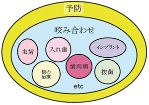 予防と咬み合わせの相関図