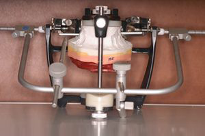 バイト・フェイスボー